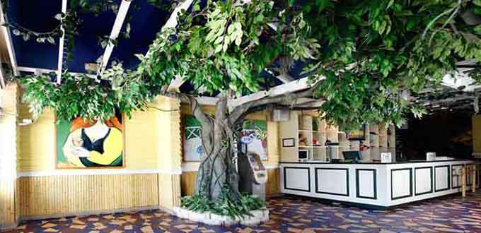 1494579708363954.jpg 仿真榕樹1.jpg