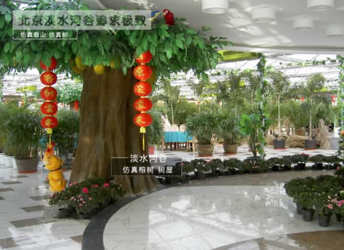 仿真樹(shù).jpg 仿真樹(shù)