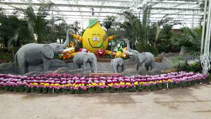 農(nóng)業(yè)嘉年華制作