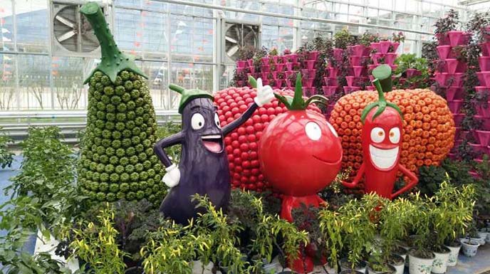 農(nóng)業(yè)嘉年華制作