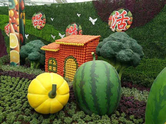 農(nóng)業(yè)嘉年華制作