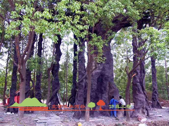 假樹(shù)價(jià)格