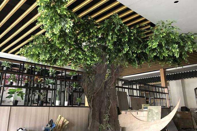 假樹(shù).jpeg 假樹(shù)