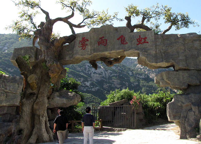 仿真樹(shù)大門