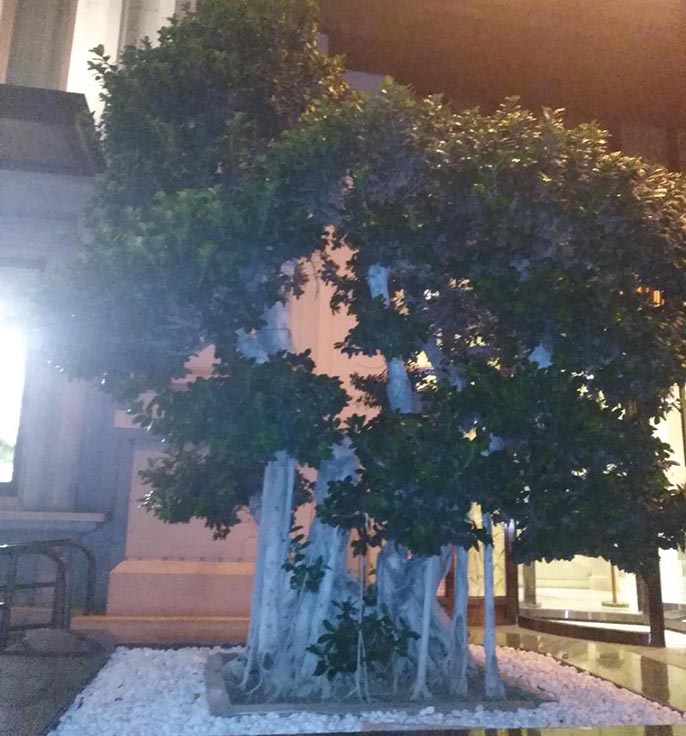 仿真榕樹.jpg 仿真榕樹