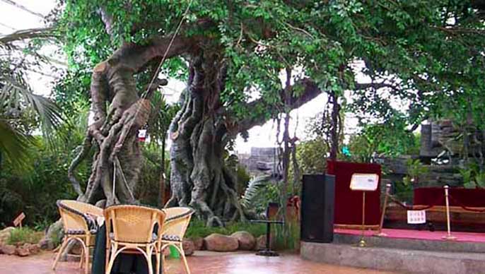 仿真榕樹.jpg 仿真榕樹