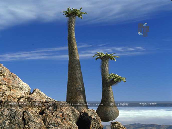 仿真樹.jpg 仿真樹