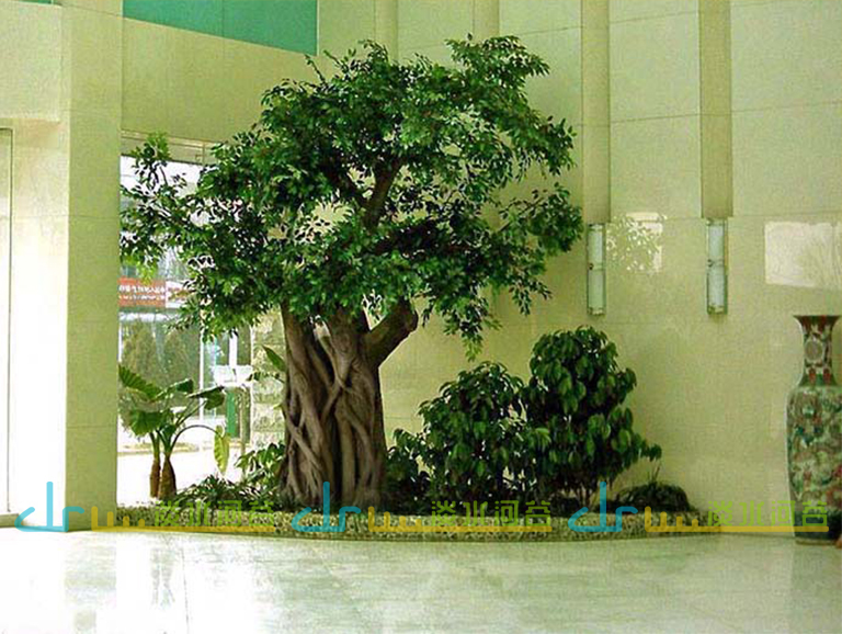 仿真樹(shù).jpg 仿真樹(shù)
