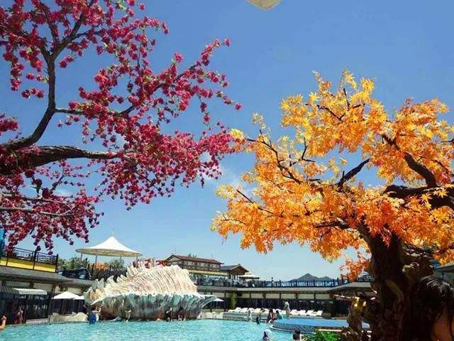 仿真樹(shù).jpeg 仿真樹(shù)