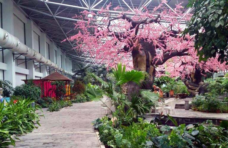 仿真樹(shù).jpeg 仿真樹(shù)