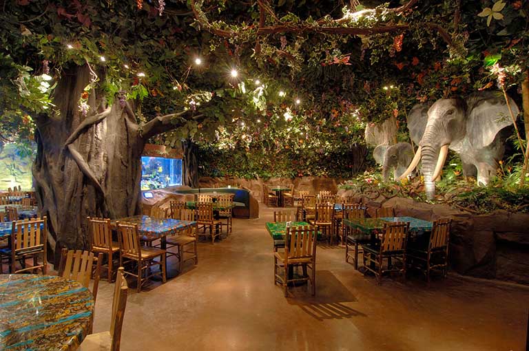 1583048819469107.jpg rainforestcafe11 (2).jpg