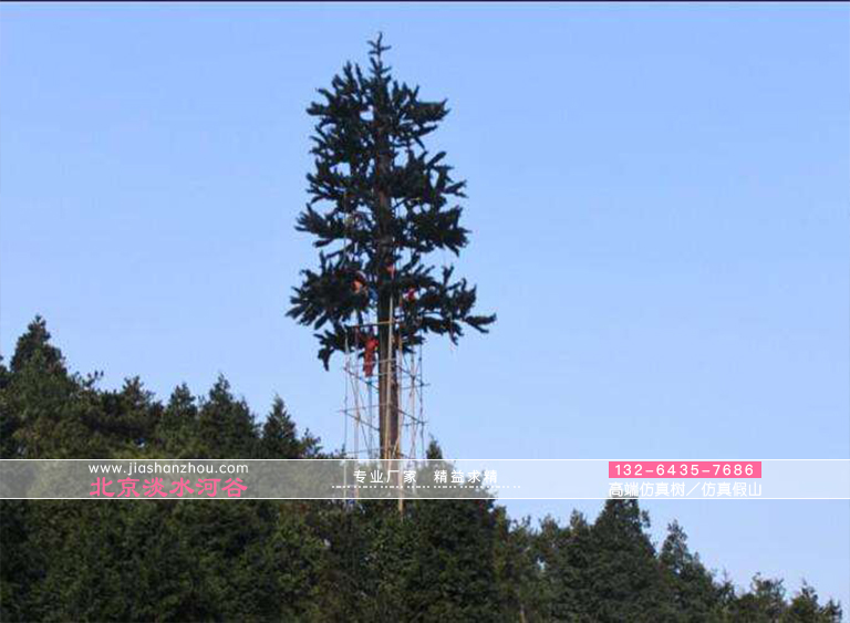 仿真樹(shù).jpg 仿真樹(shù)