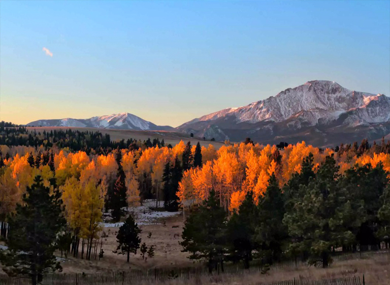 派克國家森林公園在科羅拉多