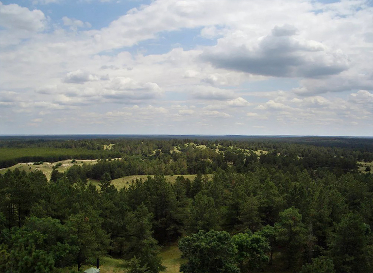 內(nèi)布拉斯加州國家森林