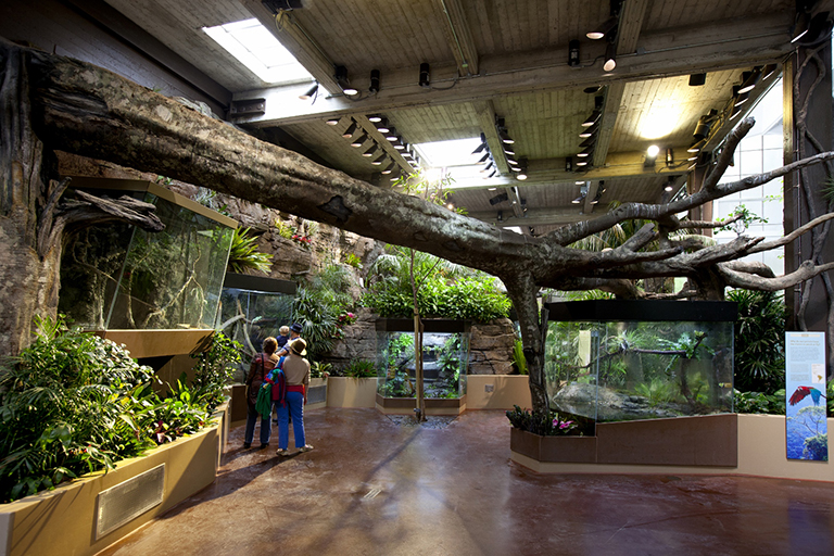 仿真樹.jpg 仿真樹