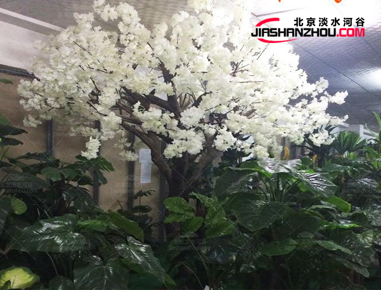 仿真樹(shù).jpg 仿真樹(shù)