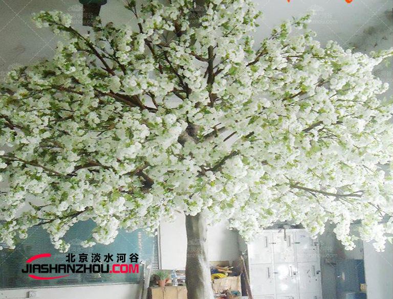 仿真樹(shù).jpg 仿真樹(shù)