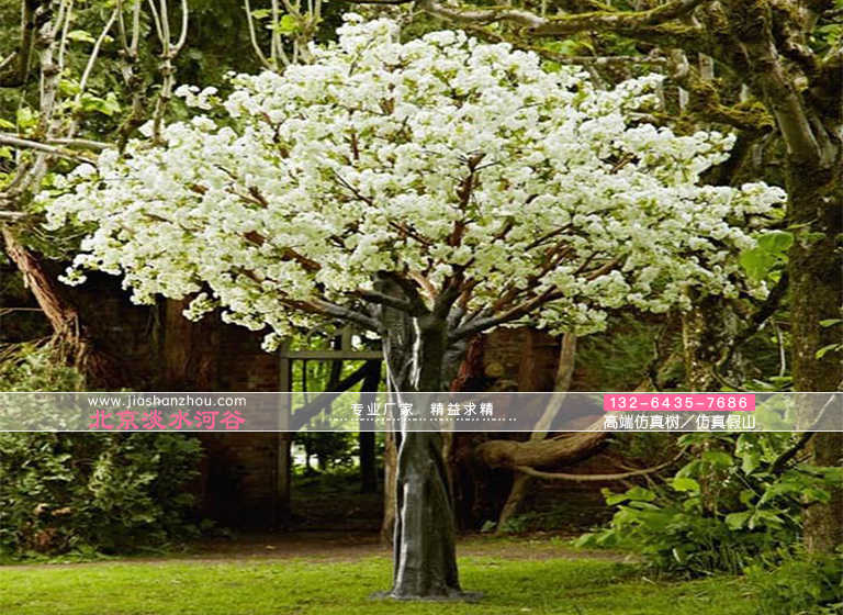 仿真樹(shù).jpg 仿真樹(shù)