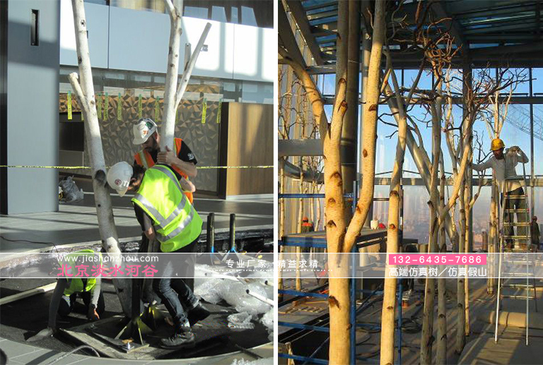 仿真樹.jpg 仿真樹