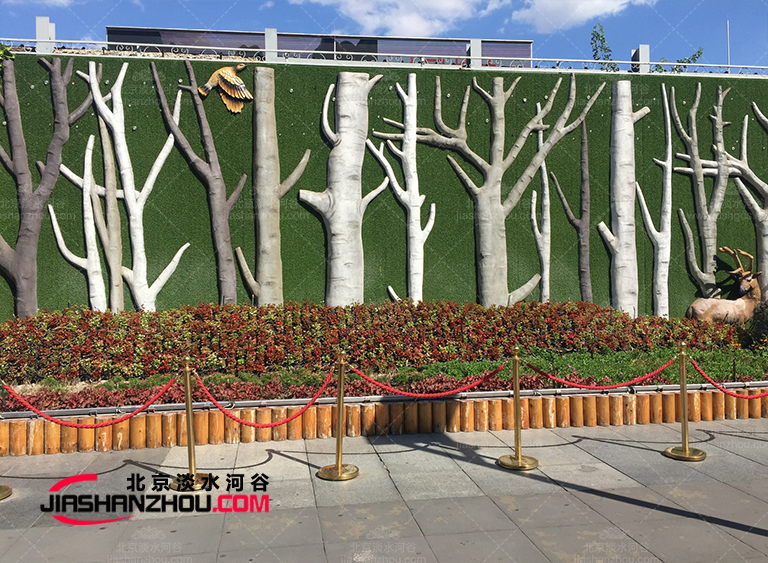 1603764439209872.jpg IMG_0021.jpg