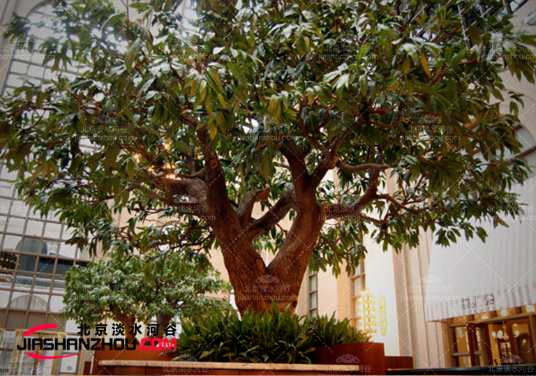 大型仿真樹.jpg 大型仿真樹