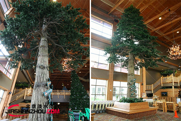 假樹(shù)圖片大全.jpg 假樹(shù)圖片大全