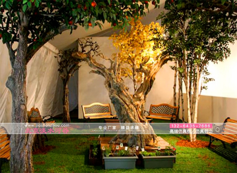 假樹(shù)圖片大全.jpg 假樹(shù)圖片大全