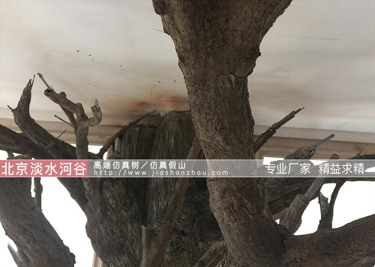 仿真樹.jpg 仿真樹