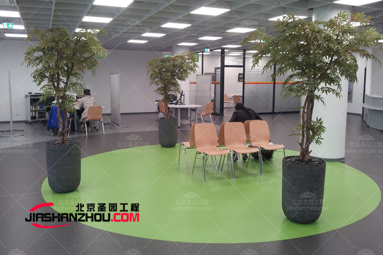 仿真樹(shù).jpg 仿真樹(shù)