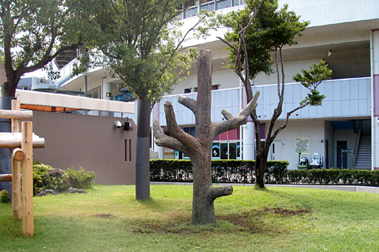 仿真樹.jpg 仿真樹