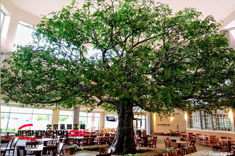 仿真樹(shù).jpg 仿真樹(shù)