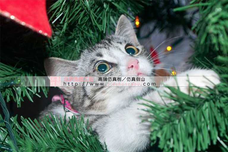 仿真樹.jpg 仿真樹