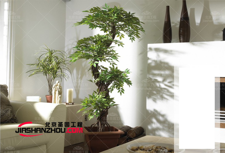 仿真樹.jpg 仿真樹