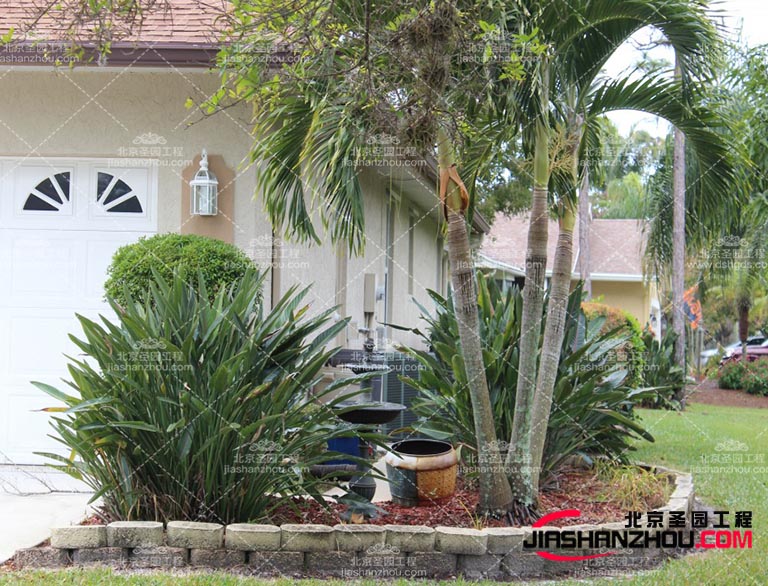 仿真樹.jpg 仿真樹