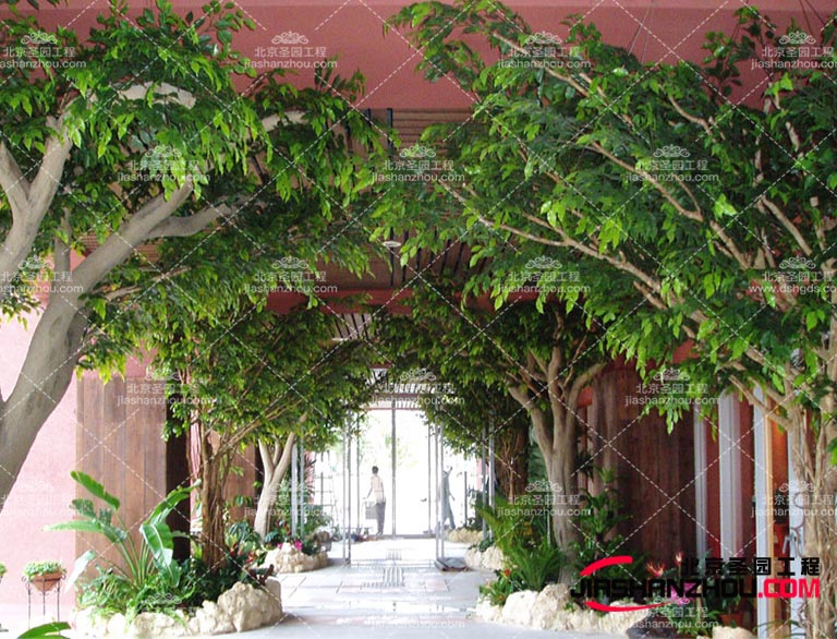 仿真樹.jpg 仿真樹