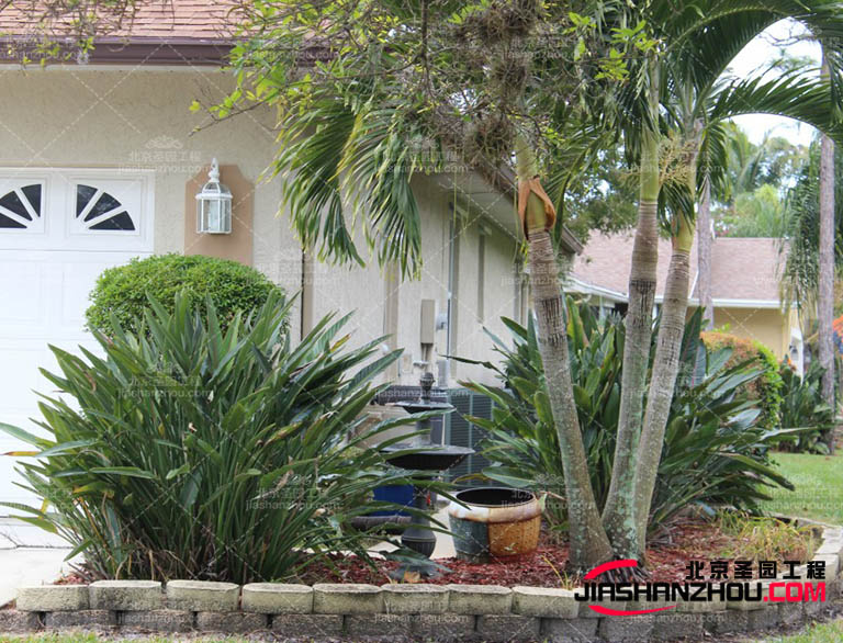 仿真樹(shù).jpg 仿真樹(shù)